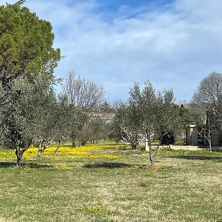 Le Nomade En Provence Bed and Breakfast Bouchet  Eksteriør billede