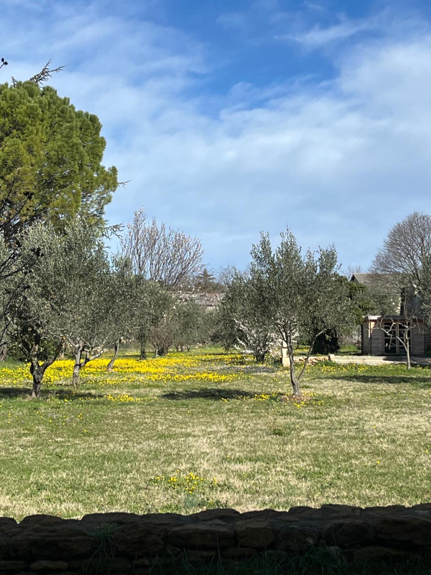 Le Nomade En Provence Bed and Breakfast Bouchet  Eksteriør billede